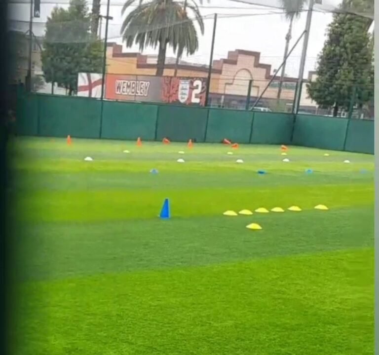 Soccer Field image 4