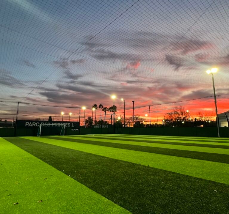 Soccer Field image 2