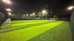 Soccer Field image 1