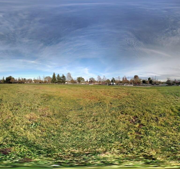 Soccer Field image 3