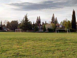 Soccer Field image 1