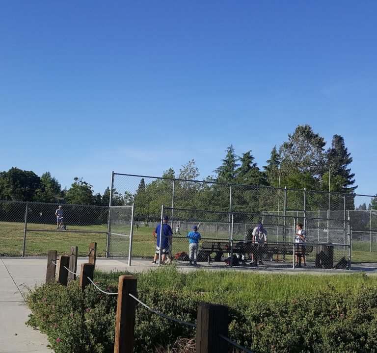 Soccer Field image 2