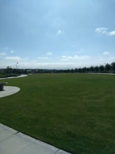 Soccer Field image 1