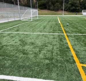 Soccer Field image 2