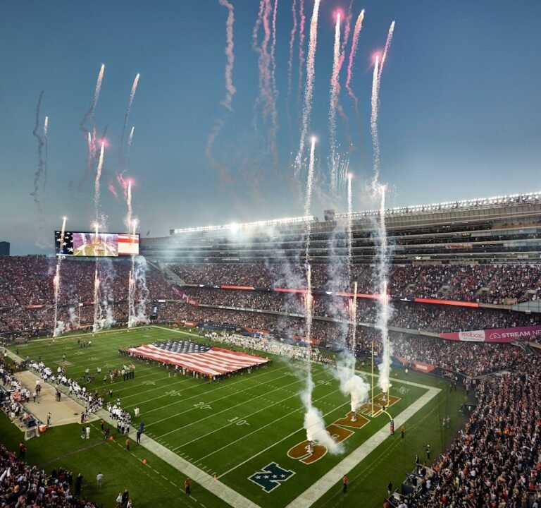 Soccer Field image 2