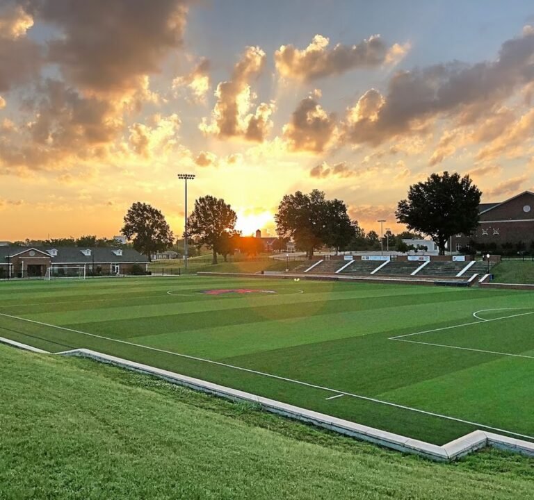 Soccer Field image 2