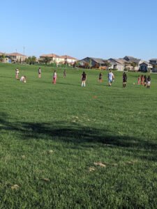 Soccer Field image 1