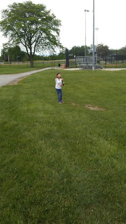 Soccer Field image 1