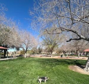 Soccer Field image 3