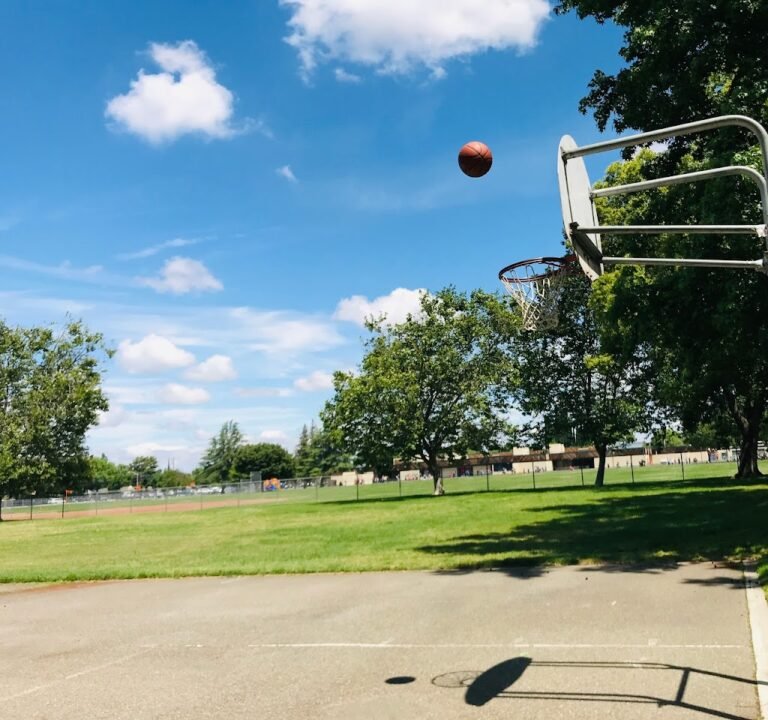 Soccer Field image 2
