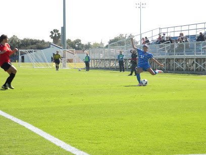 Soccer Field image 1