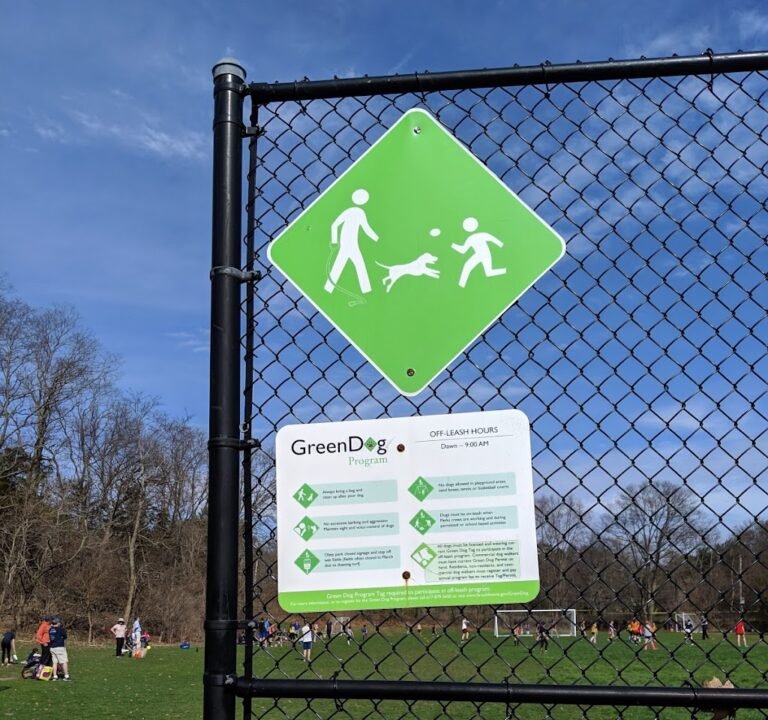 Soccer Field image 2