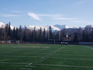 Soccer Field image 1