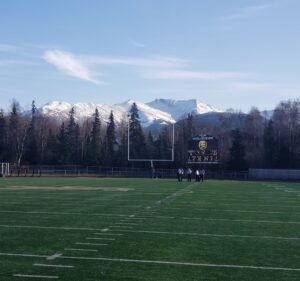 Soccer Field image 2