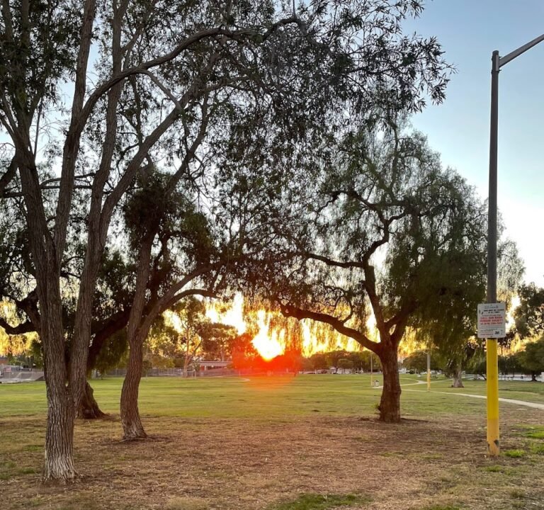 Soccer Field image 2
