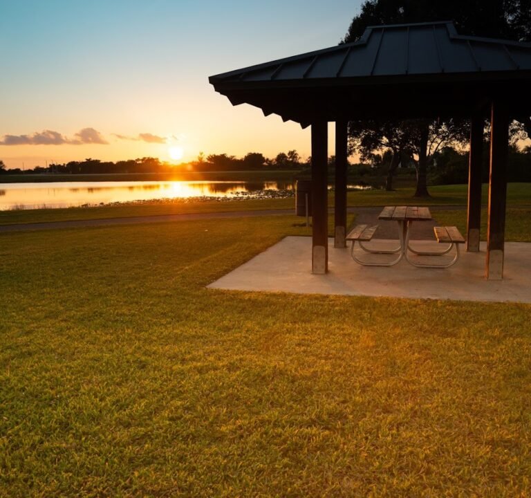 Soccer Field image 2