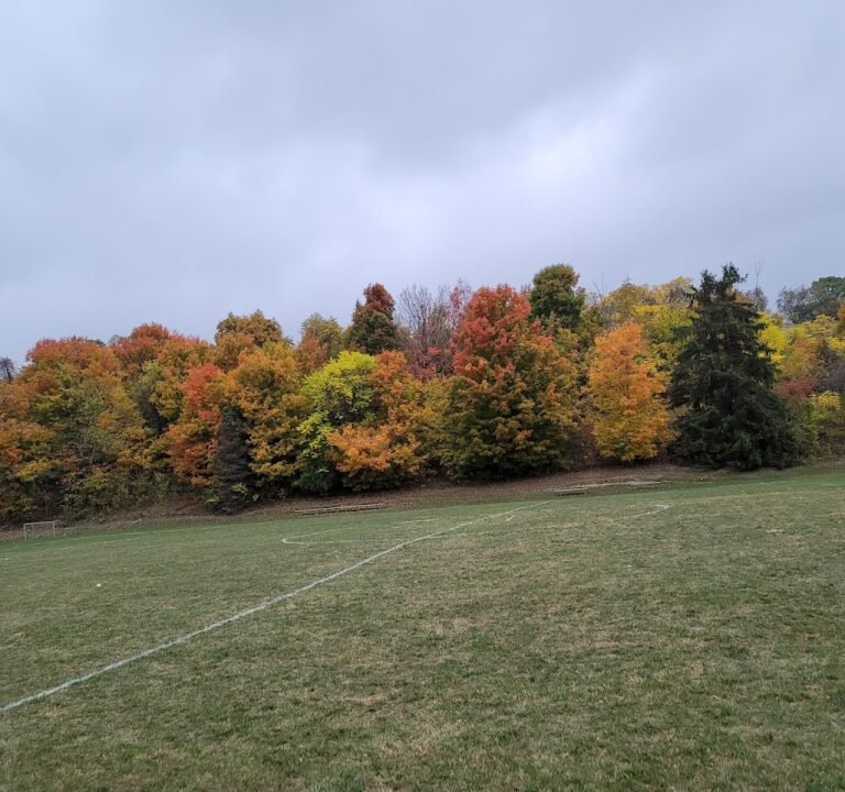 Soccer Field image 2