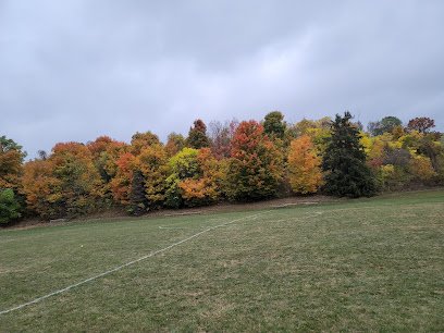 Soccer Field image 1