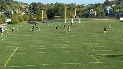 Soccer Field image 1