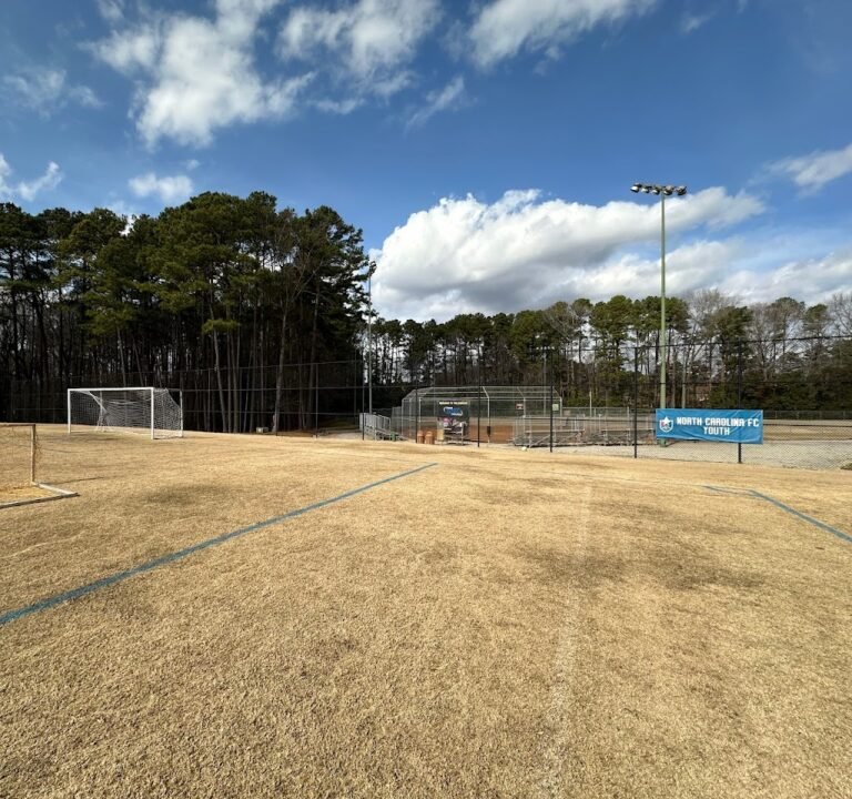 Soccer Field image 2