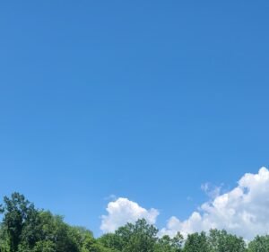 Soccer Field image 2