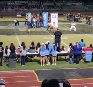 Soccer Field image 1