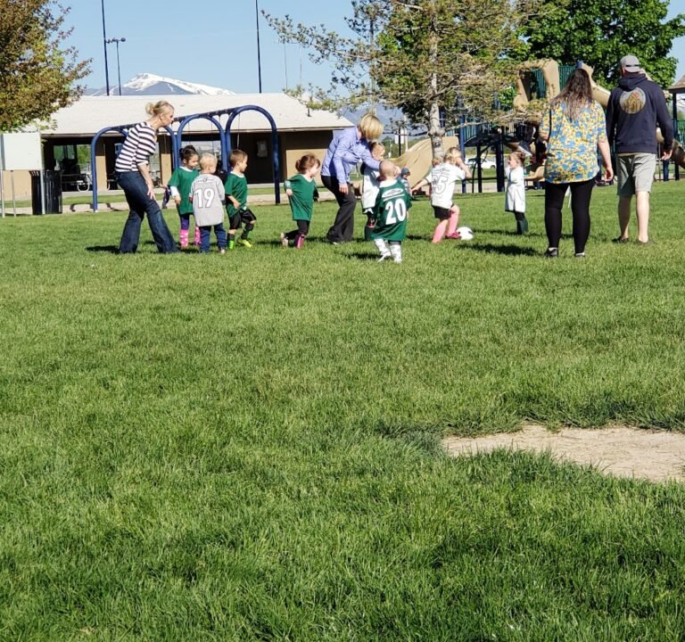 Soccer Field image 2