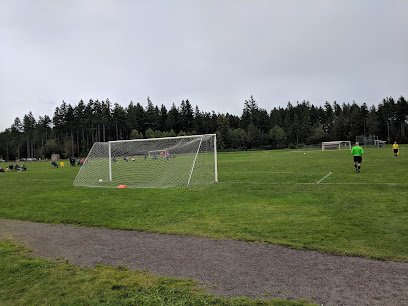 Soccer Field image 1