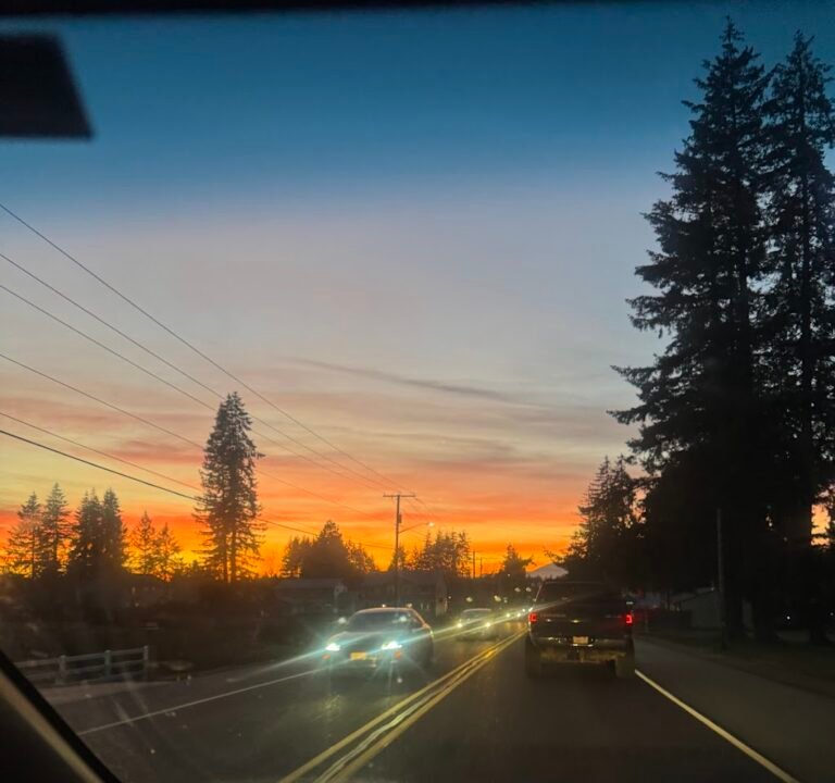 Soccer Field image 3