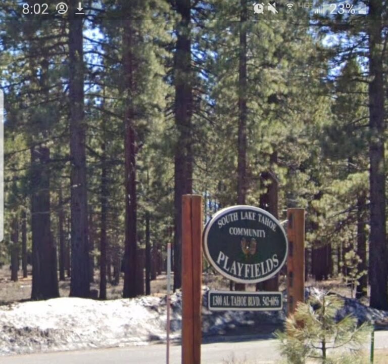 Soccer Field image 2