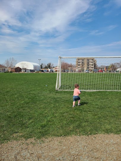 Soccer Field image 1