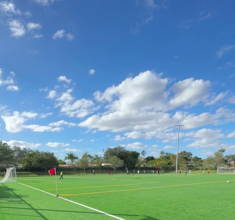 Soccer Field image 4