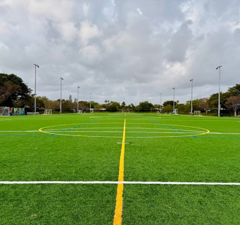 Soccer Field image 3