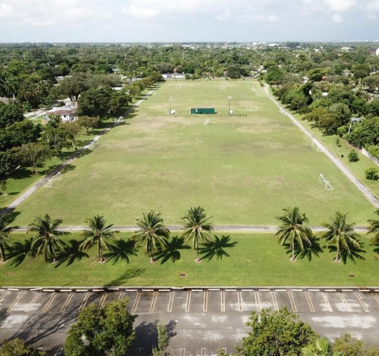 Soccer Field image 2
