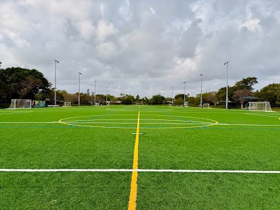 Soccer Field image 1
