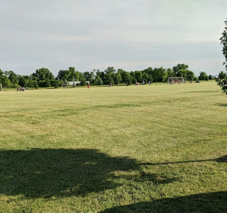 Soccer Field image 2