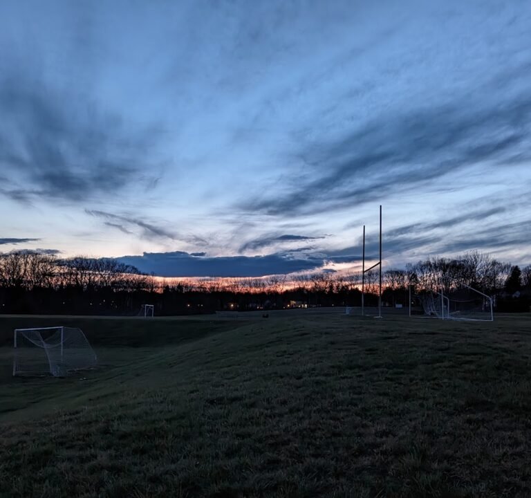 Soccer Field image 2