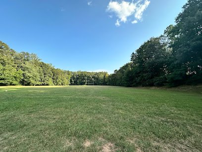 Soccer Field image 1