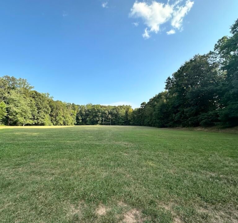 Soccer Field image 2