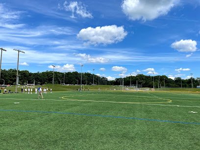 Soccer Field image 1