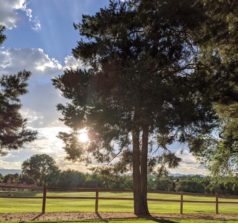 Soccer Field image 2
