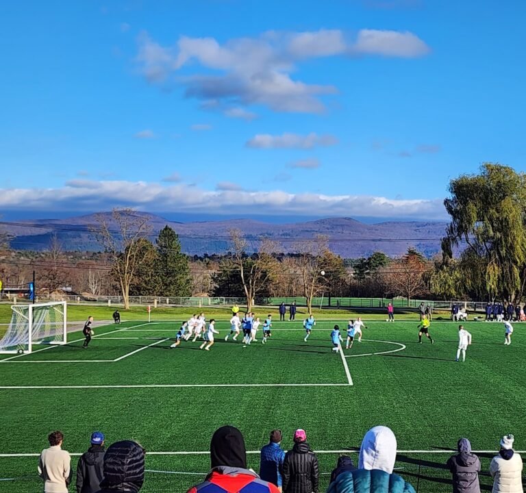 Soccer Field image 2