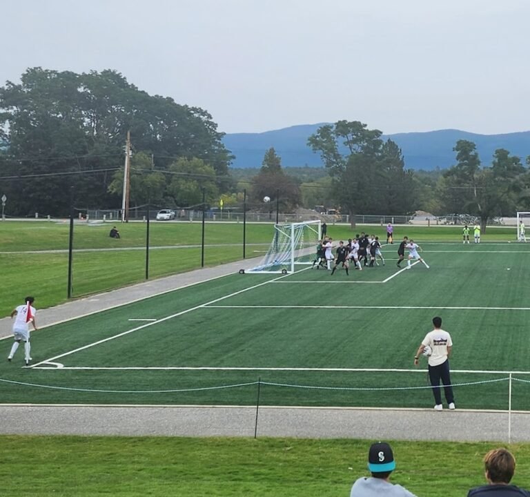 Soccer Field image 3