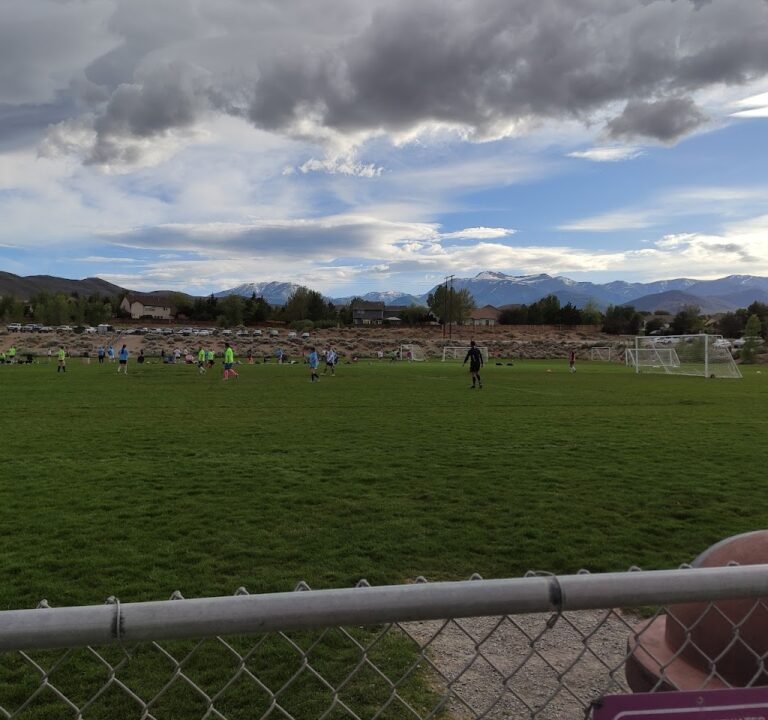 Soccer Field image 3