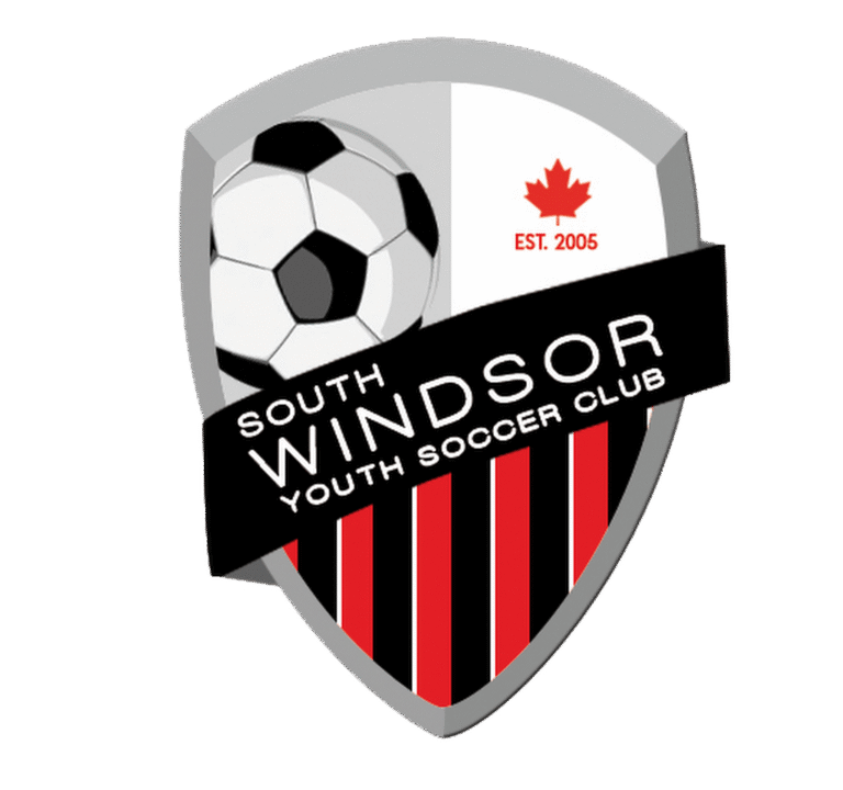 Soccer Field image 3