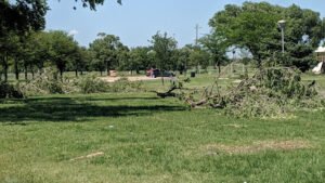 Soccer Field image 1