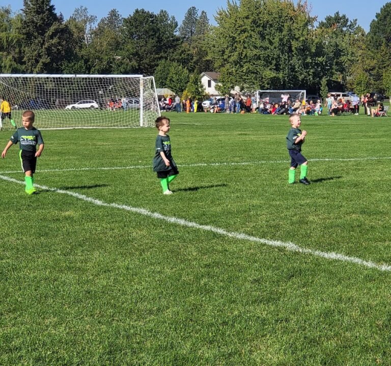Soccer Field image 2