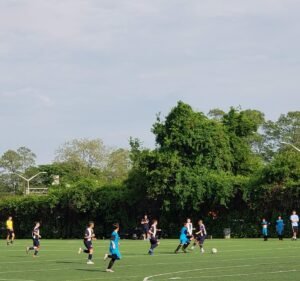 Soccer Field image 2