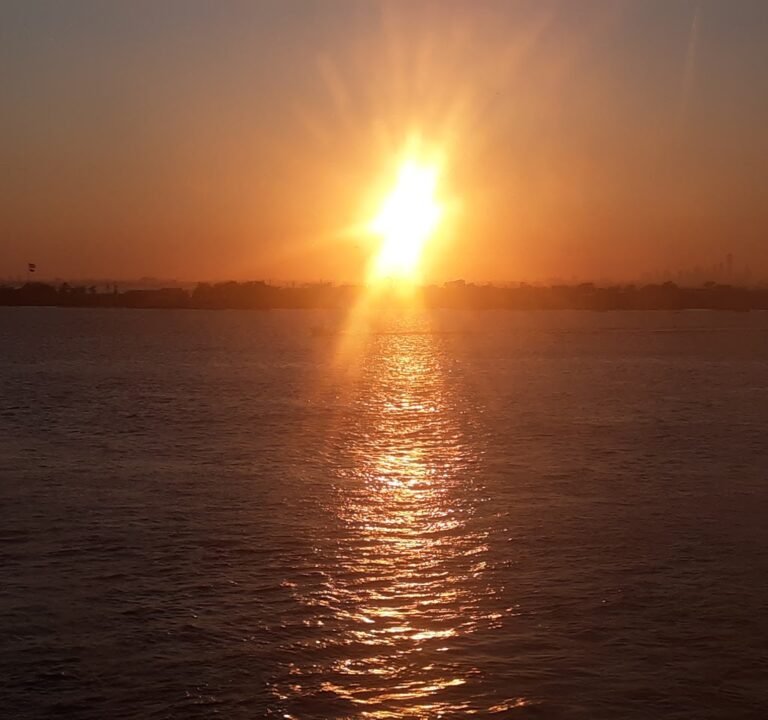 Soccer Field image 3