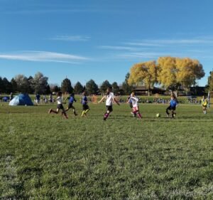Soccer Field image 2
